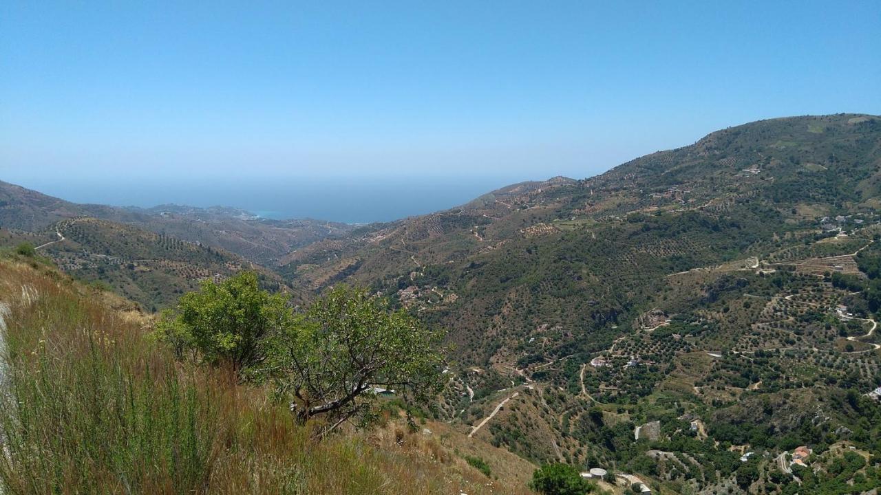 Zazabi Holiday home *